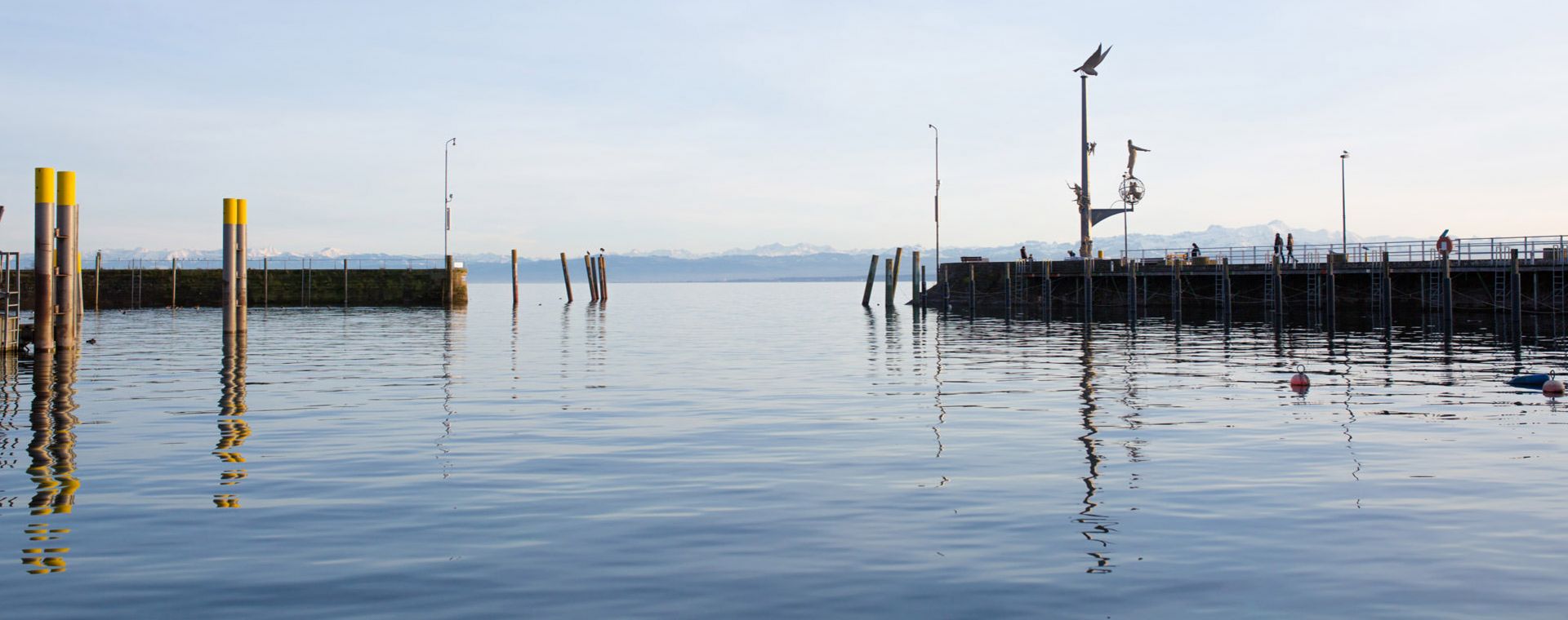 KI Extension für TYPO3