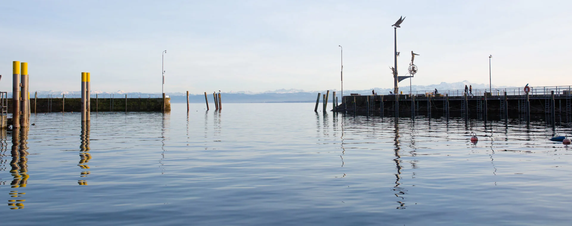 KI Extension für TYPO3